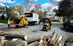 Best Weed Control  in Montvale, NJ
